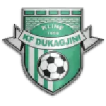 Logo Dukagjini